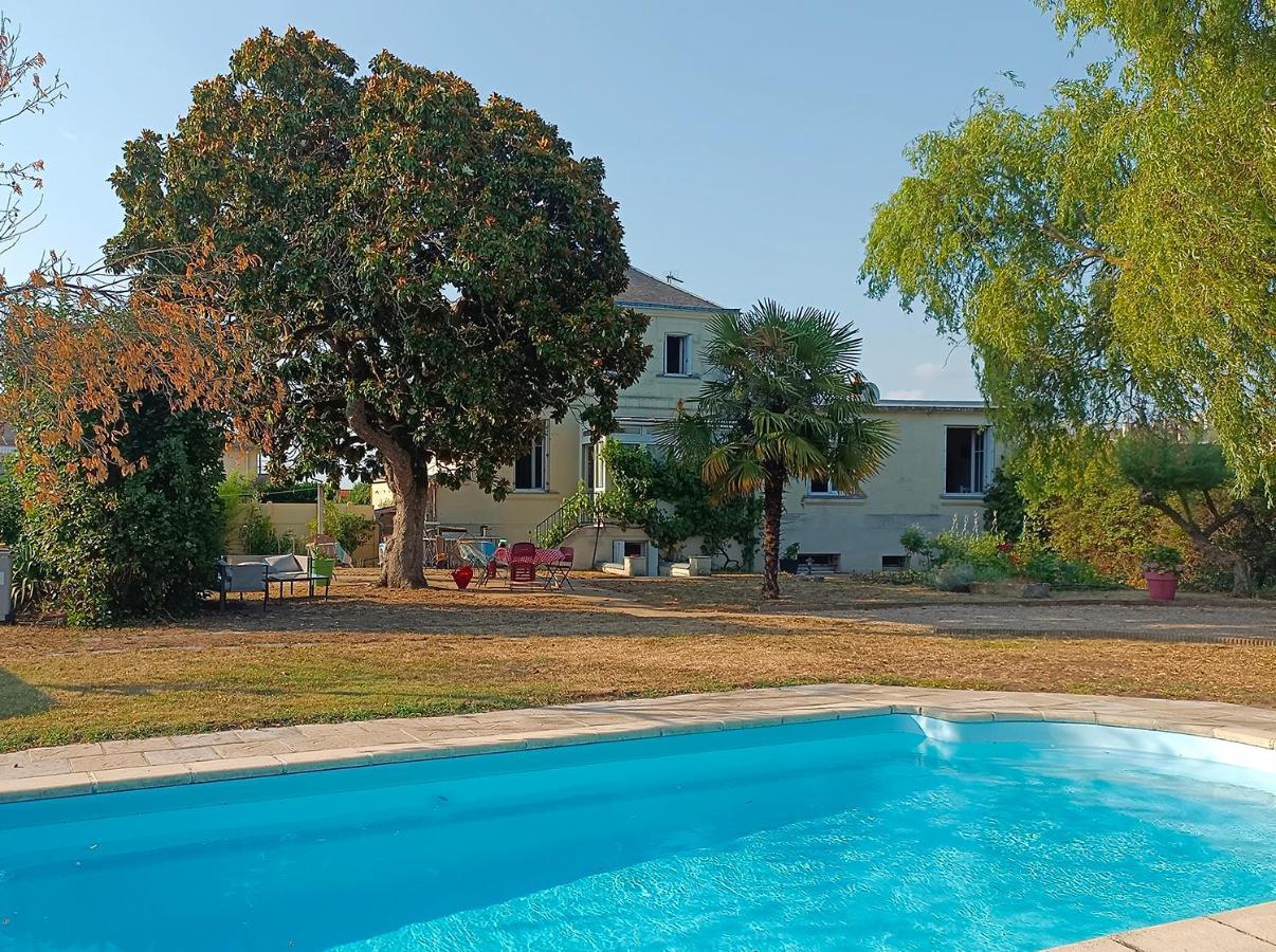 Le Magnolia, Chambre D'Hote Au Calme Saumur Bagian luar foto
